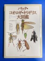 バッタ・コオロギ・キリギリス大図鑑