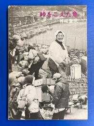 峠をこえた魚