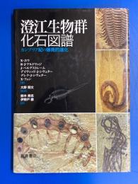 澄江生物群化石図譜 : カンブリア紀の爆発的進化