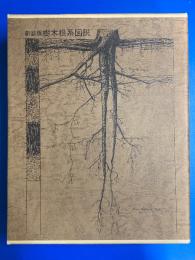 新装版 樹木根系図説