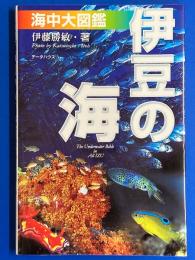 伊豆の海 海中大図鑑