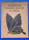日本通俗昆蟲圖説　第一巻（蝶之部）