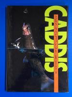 CADDIS : トビケラとフライフィッシング