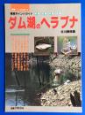 徹底ポイントガイド ダム湖のヘラブナ：中部・近畿・中国・四国