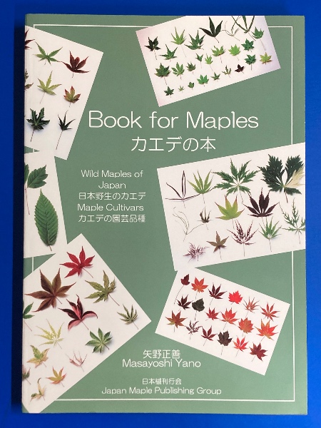 カエデの本 Book for Maples 矢野正善 日本楓刊行会 大 カエデの本 : 日本野生のカエデ : カエデの園芸品種 | 矢野正善 著