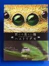 世にも美しい瞳ハエトリグモ