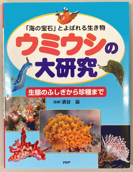 ウミウシの大研究 海の宝石 とよばれる生き物 生態のふしぎから珍種まで 濱谷巖 監修 鳥海書房 古本 中古本 古書籍の通販は 日本の古本屋 日本の古本屋