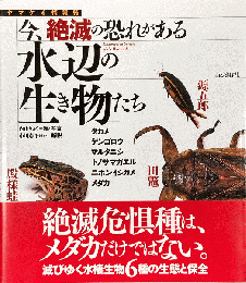 今、絶滅の恐れがある水辺の生き物たち〈ヤマケイ情報箱〉