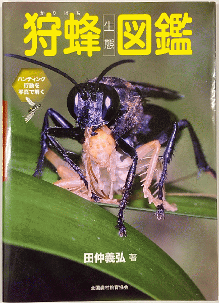 狩蜂生態図鑑 ハンティング行動を写真で解く 田仲義弘 著 鳥海書房 古本 中古本 古書籍の通販は 日本の古本屋 日本の古本屋