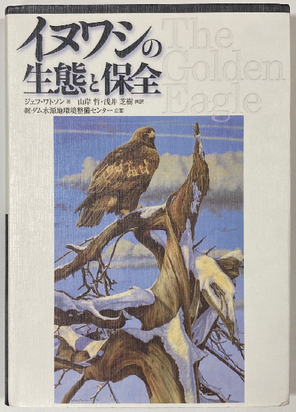 【中古】 イヌワシの生態と保全/文一総合出版/ジェフ・ワトソン 中古】 イヌワシの生態と保全/文一総合出版/ジェフ・ワトソン