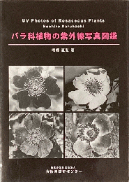 バラ科植物の紫外線写真図鑑 = UV photos of rosaceous plants