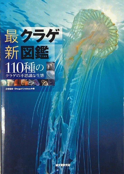 最新クラゲ図鑑 110種のクラゲの不思議な生態 三宅裕志 Dhugal Lindsay 著 鳥海書房 古本 中古本 古書籍の通販は 日本の古本屋 日本の古本屋 最新クラゲ図鑑 110種のクラゲの不思議な生態 三宅裕志 Dhugal Lindsay 著 鳥海書房 古本 中古本 古書籍の通販は 日本の古本屋 日本の古本屋