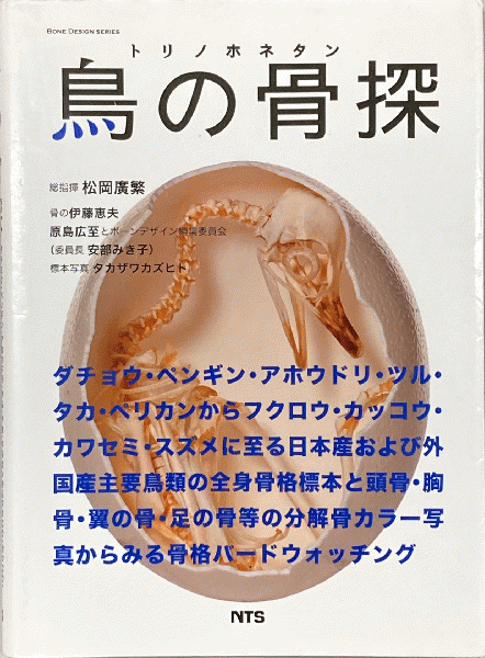 鳥の骨探 : ダチョウ・ペンギン・アホウドリ・ツル・タカ・ペリカン ...