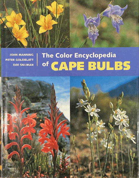 Color Encyclopedia of Cape Bulbs 球根 洋書｜本・雑誌・漫画