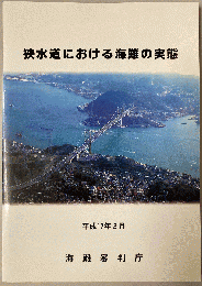 狭水道における海難の実態