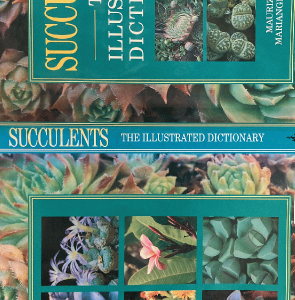 Succulents The Illustrated Dictionary 【公式通販】