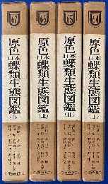 原色日本蝶類生態図鑑　全4巻揃
