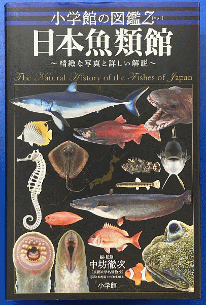 日本魚類館 : 精緻な写真と詳しい解説(中坊徹次編・監修) / 鳥海書房 