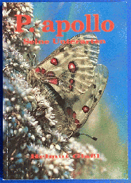 P. apollo : Seine Unterarten