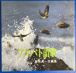 アオバト讃歌 : 吉田典一写真集