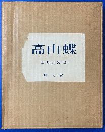 高山蝶 : 生態写真