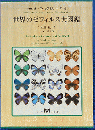世界のゼフィルス大図鑑