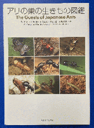 アリの巣の生きもの図鑑 = The Guests of Japanese Ants
