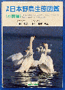 原色日本野鳥生態図鑑 水鳥編