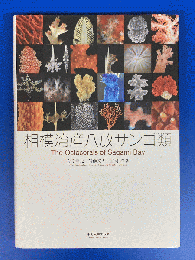 相模湾産八放サンゴ類 : The Octocorals of Sagami Bay