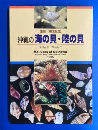 沖縄の海の貝・陸の貝 : 生態/検索図鑑