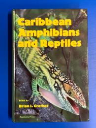 Caribbean Amphibians and Reptiles