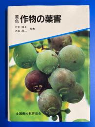 原色作物の薬害