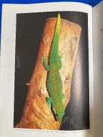 GECKOS der Welt : ALLE GATTUNGEN