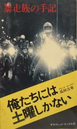 暴走族の手記