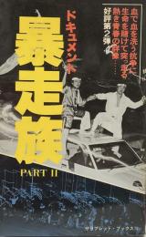 ドキュメント暴走族 PART Ⅱ