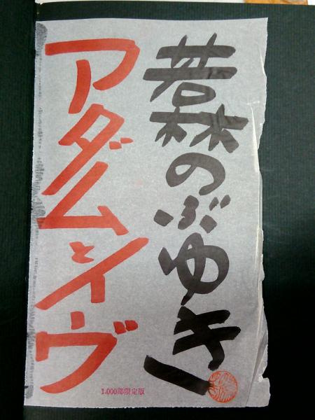 若林のぶゆき アダムとイヴ 1970年初版 限定1000部 サイン入 アダムとイヴ 若林のぶゆき写真集○サイン＆印入り○限定1000部/501番
