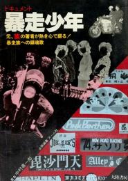 ドキュメント暴走少年●元、暴走族の著者が熱き心で綴る！暴走族への鎮魂歌