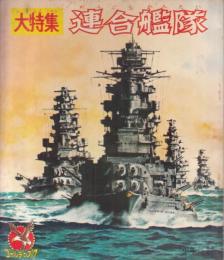 【大特集 連合艦隊/「少年」1962年7月号付録ゴールデンブック】イラストピンナップ=太平洋の王者 空母・ずいがく/戦艦戦記/他