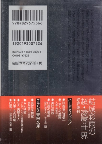 結城彩雨文庫 11冊 - その他