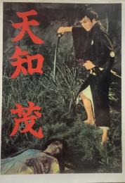 天知茂