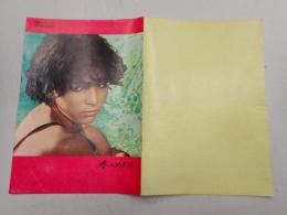 映画パンフレット 春のめざめ