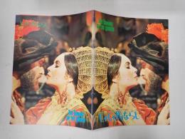 映画パンフレット じゃじゃ馬ならし