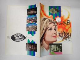 映画パンフレット 魚が出てきた日