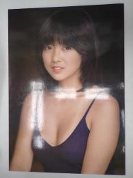 宮崎美子　パネル