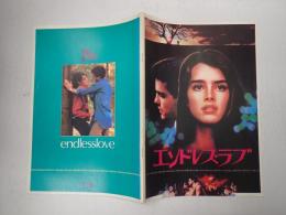映画パンフレットエンドレス・ラブ