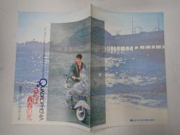 映画パンフレット さらば青春の光