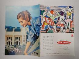 映画パンフレット 三月生れ 日比谷スカラ座№59‐3