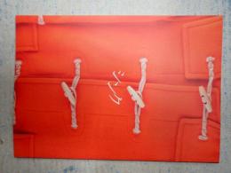 映画パンフレット シンク