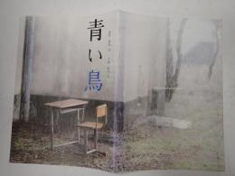 映画パンフレット 青い鳥