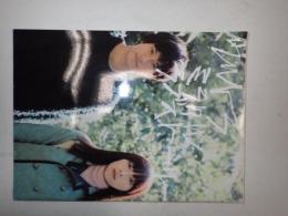 映画パンフレット　ウルトラミラクルラブストーリー